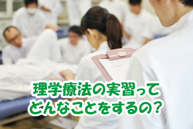 理学療法の実習ってどんなことをするの？